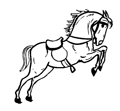 Dibujo de Caballo con silla saltando para Colorear