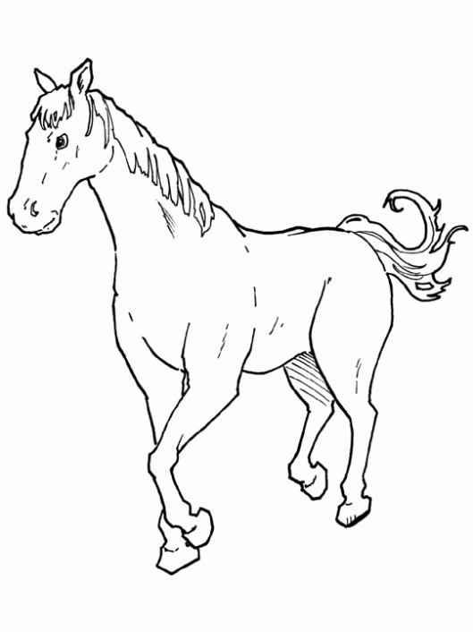 Dibujo de Caballos para colorear. Dibujos infantiles de Caballos ...