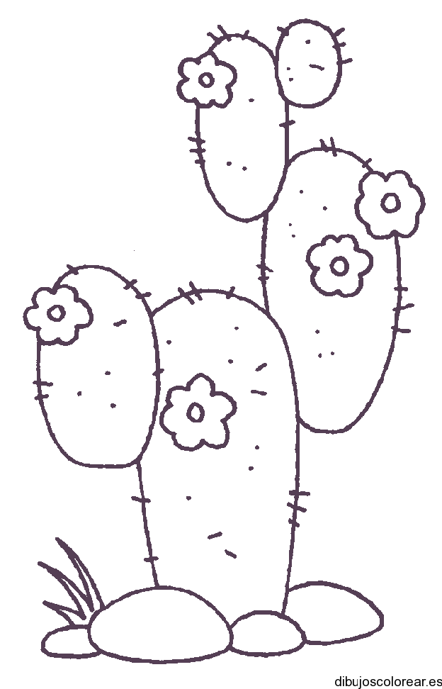 Dibujo de un cactus con flores | Dibujos para Colorear