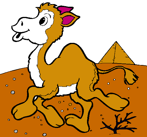 Dibujo de Camello pintado por Juantemo en Dibujos.net el día 27-09 ...