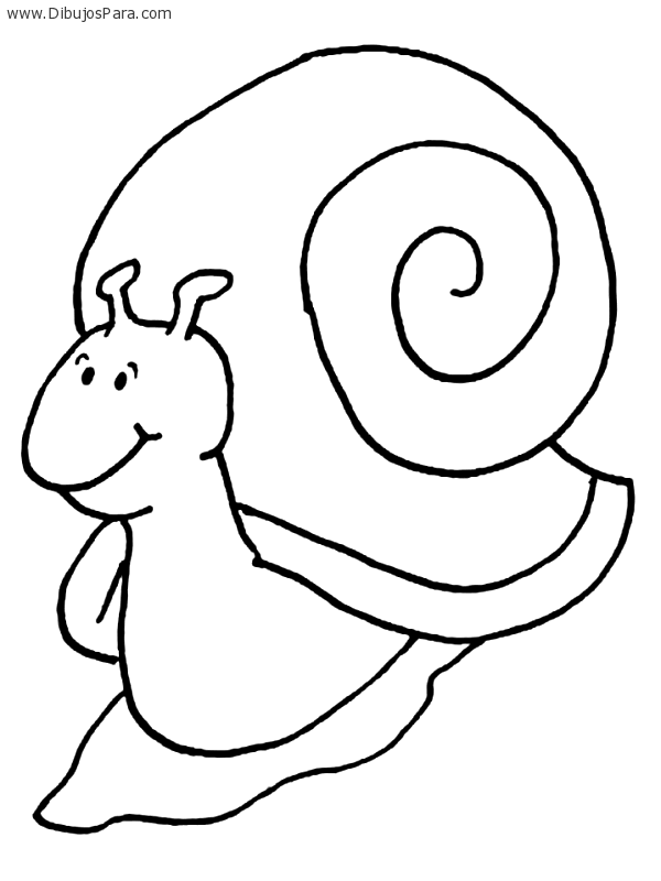 Dibujo de Caracol alegre | Dibujos de Caracoles para Pintar ...