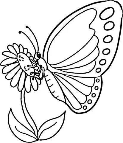 Dibujo de Caricatura de una Mariposa Monarca para colorear ...