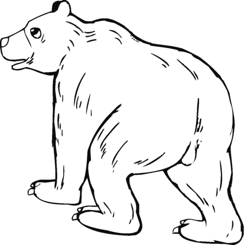 Dibujo de Caricatura de un oso grizzly para colorear | Dibujos ...