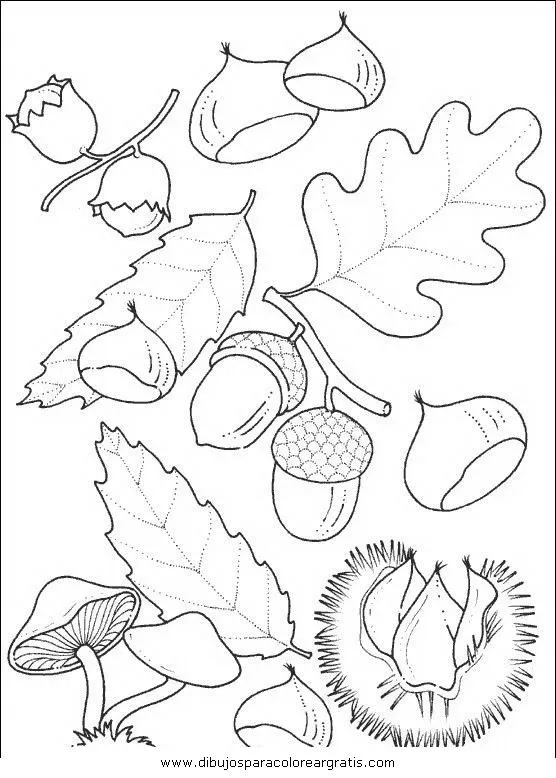 Dibujo castanas_1 en la categoria naturaleza diseños