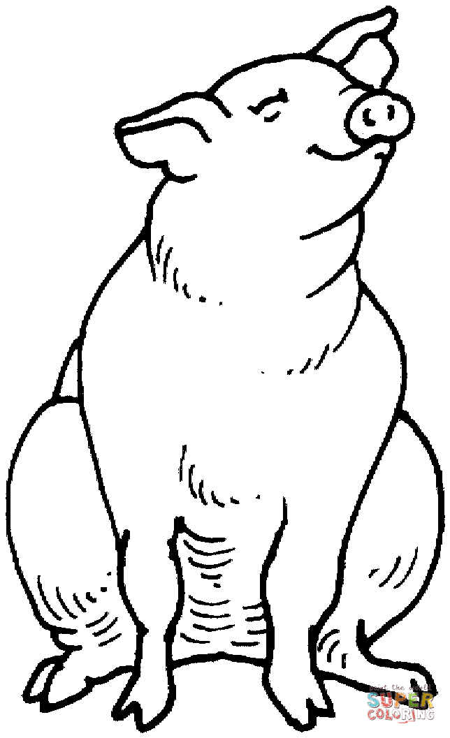 Dibujo de Cerdito Obediente para colorear | Dibujos para colorear imprimir  gratis