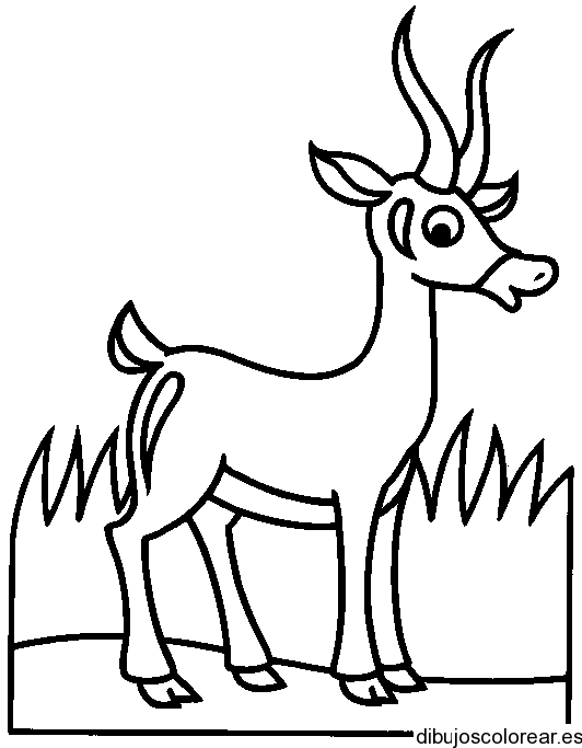 Dibujo de un cervatillo en un cuadro | Dibujos para Colorear