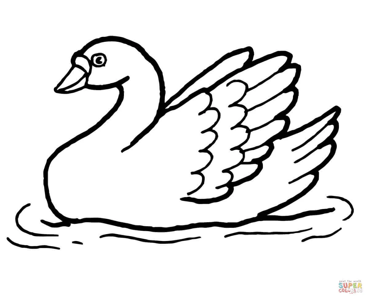 Dibujo de Cisne en el agua para colorear | Dibujos para colorear imprimir  gratis