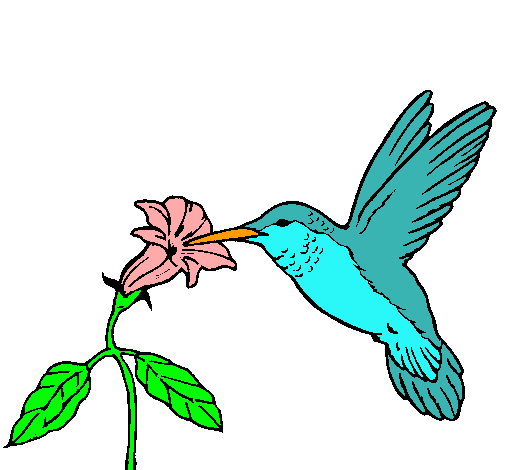 Dibujo de Colibrí y una flor pintado por Arcoiris123 en Dibujos ...