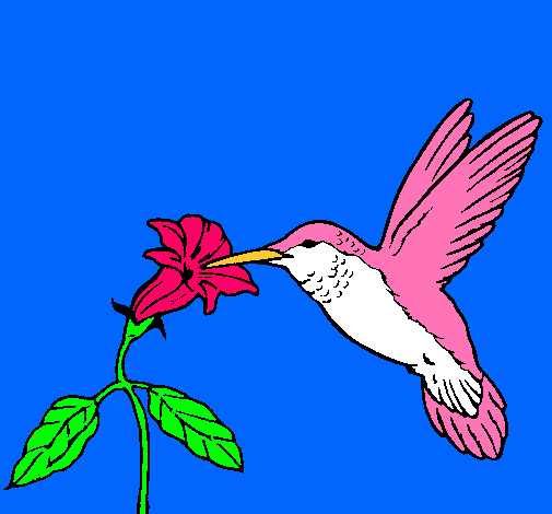 Dibujo de Colibrí y una flor pintado por Lumilud en Dibujos.net el ...