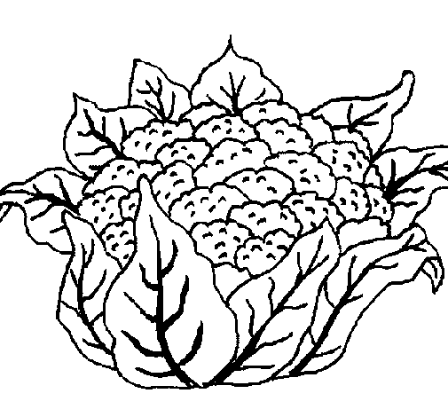 Dibujo de Coliflor para Colorear - Dibujos.net