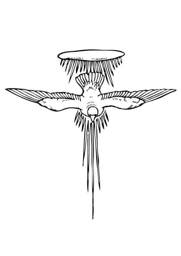 Dibujo para colorear espíritu santo - Dibujos Para Imprimir Gratis - Img 17377