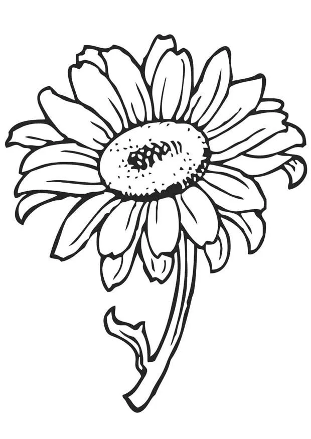 Dibujo para colorear girasol - Img 21202