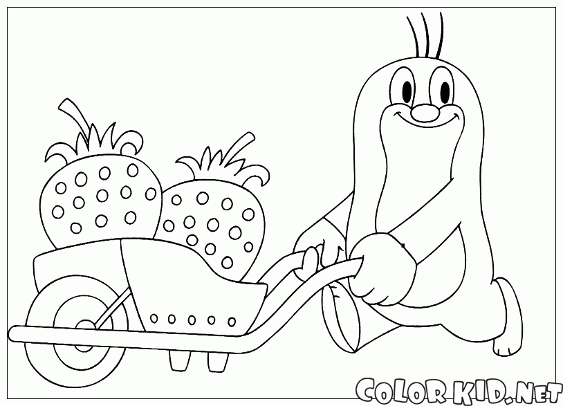 Dibujo para colorear - Mole y fresas