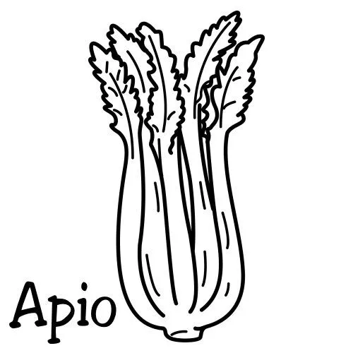 Dibujo para colorear planta apio - Imagui