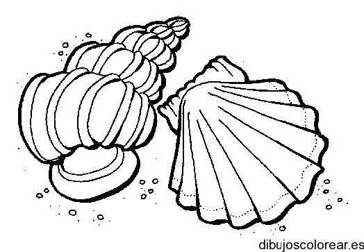 Conchitas de mar para colorear - Imagui