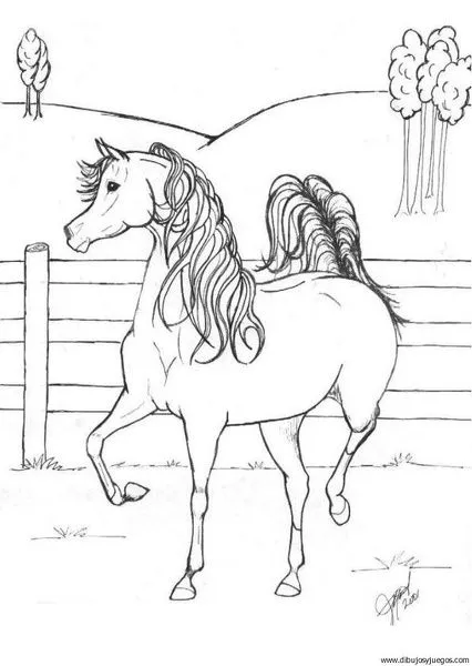Caballos arabes para colorear - Imagui