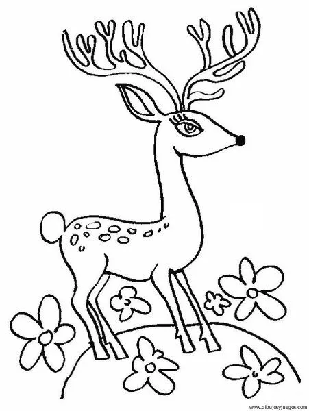 dibujo-de-ciervo-18 | Dibujos y juegos, para pintar y colorear