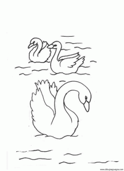 dibujo-de-cisne-005 | Dibujos y juegos, para pintar y colorear