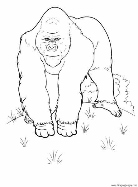 dibujo-de-gorila-002 | Dibujos y juegos, para pintar y colorear