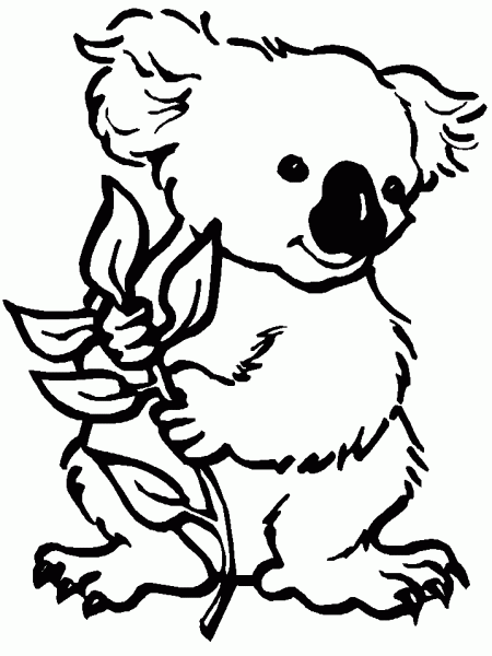 dibujo-de-koala-015 | Dibujos y juegos, para pintar y colorear