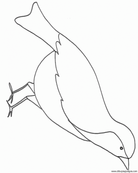dibujo-de-pajaro-082 | Dibujos y juegos, para pintar y colorear