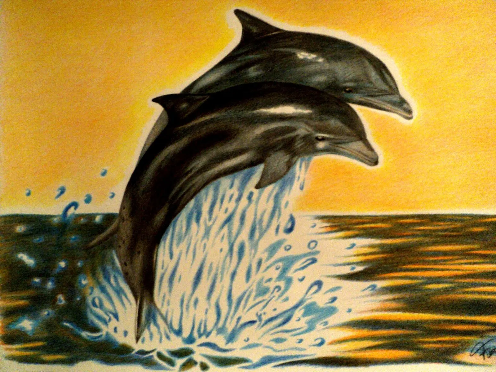 Dibujos a lapiz de delfines - Imagui