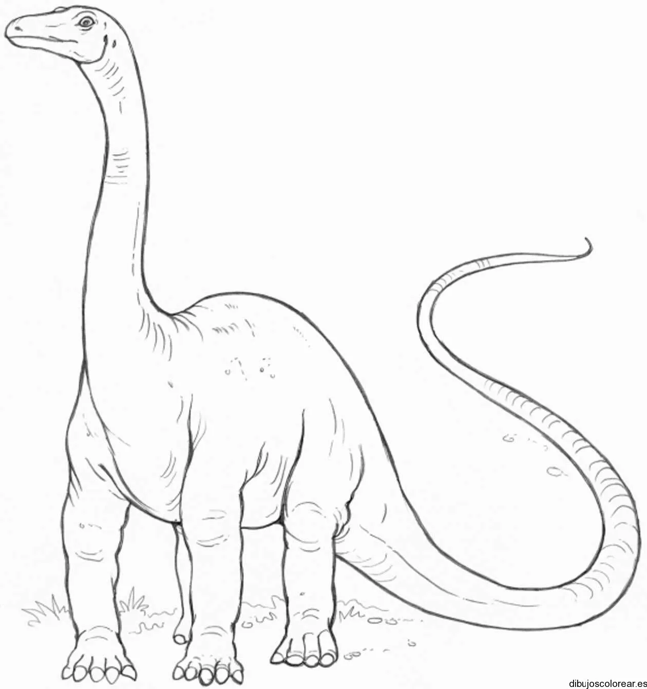 Dibujo de un dinosaurio de cuello largo | Dibujos para Colorear