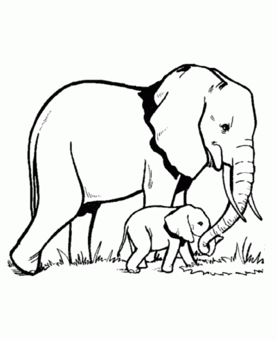 Dibujo de Elefante con su cría. Dibujo para colorear de Elefante con ...