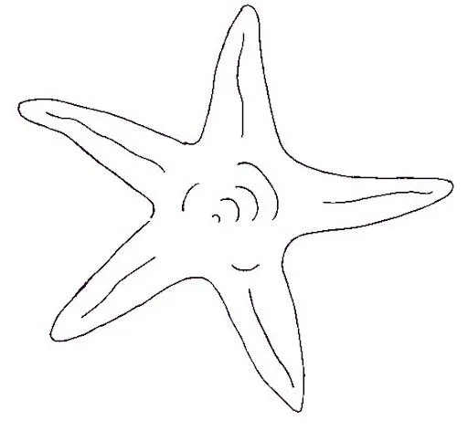 Dibujos de estrellas de mar para imprimir - Imagui