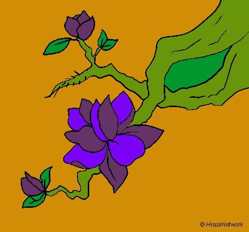 Dibujo de Flor de almendro pintado por Hortensia en Dibujos.net el ...