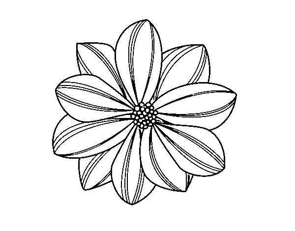Dibujo de Flor de margarita para Colorear - Dibujos.net