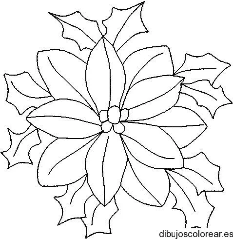 Dibujo de una flor de pascua | Dibujos para Colorear