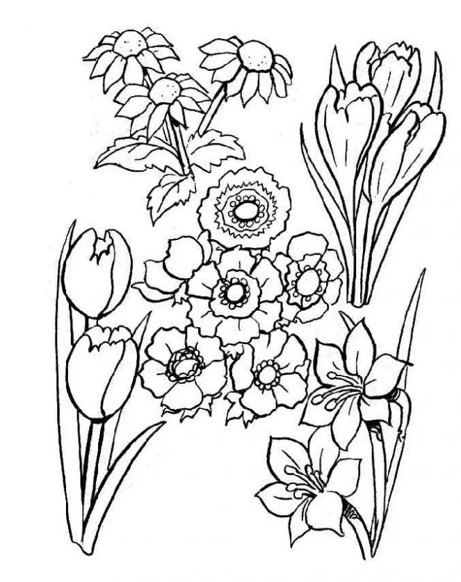 Dibujo de Flores para colorear. Dibujos infantiles de Flores. Colorear ...