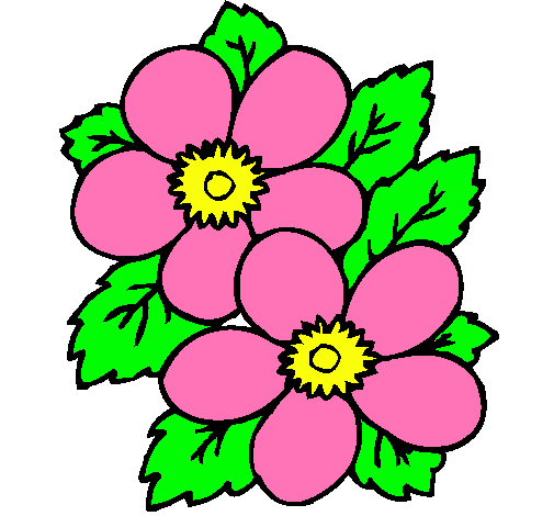 Dibujo de Flores pintado por Viridiana en Dibujos.net el día 30-12 ...