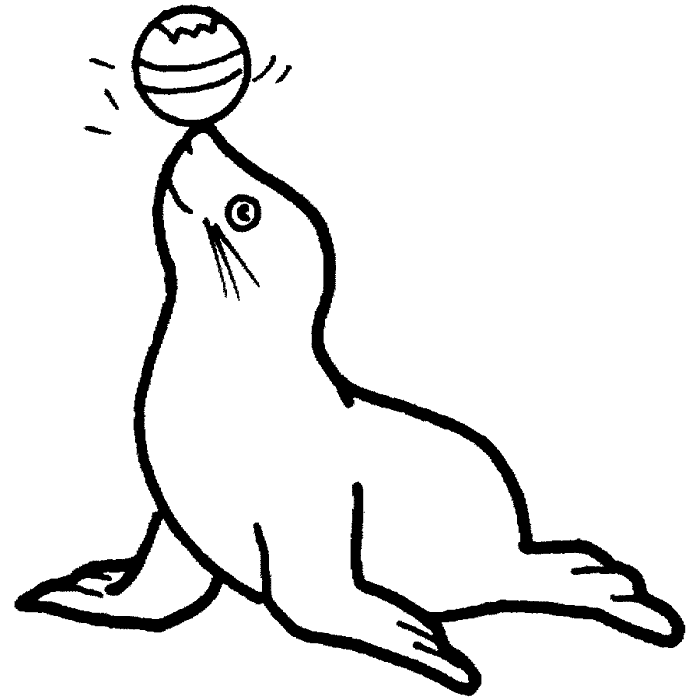 Dibujo De Foca Jugando A La Pelota Para Colorear MEMES Pictures