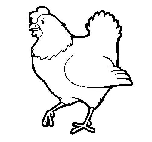 Dibujo de Gallina para Colorear - Dibujos.net