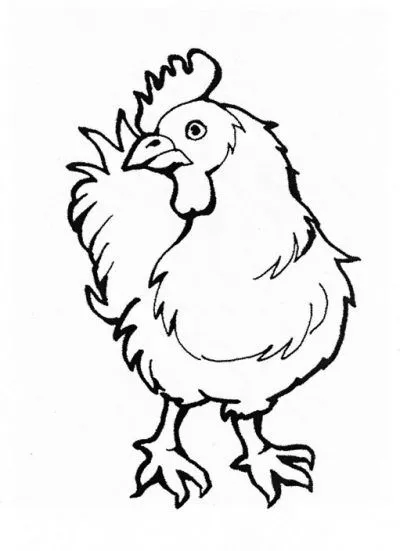 Dibujo de Gallina. Dibujo para colorear de Gallina. Dibujos ...