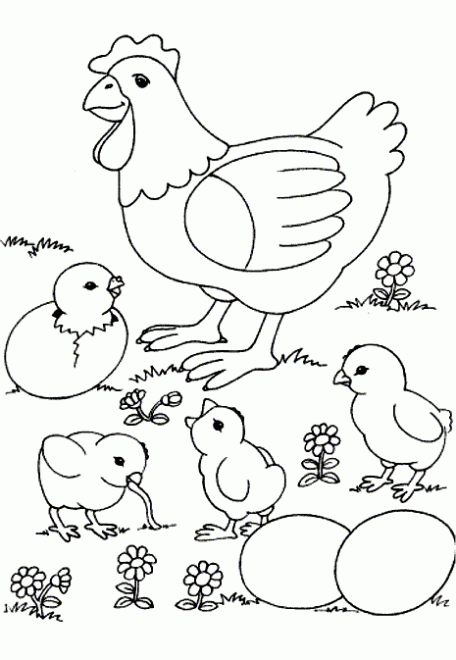 Dibujo de Gallina y sus pollitos para colorear. Dibujos infantiles ...