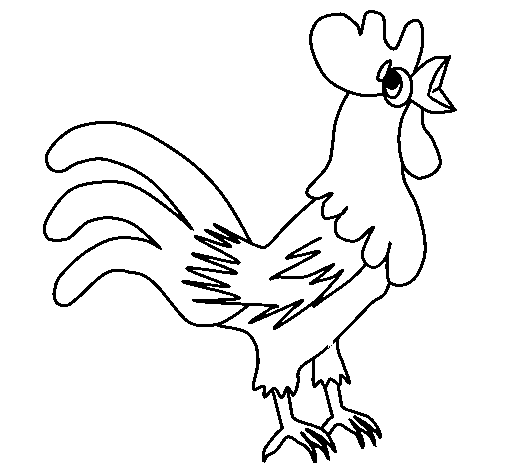 Dibujo de Gallo 2 para Colorear