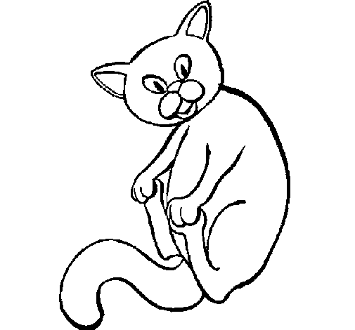 Dibujo de Gatito para Colorear - Dibujos.net