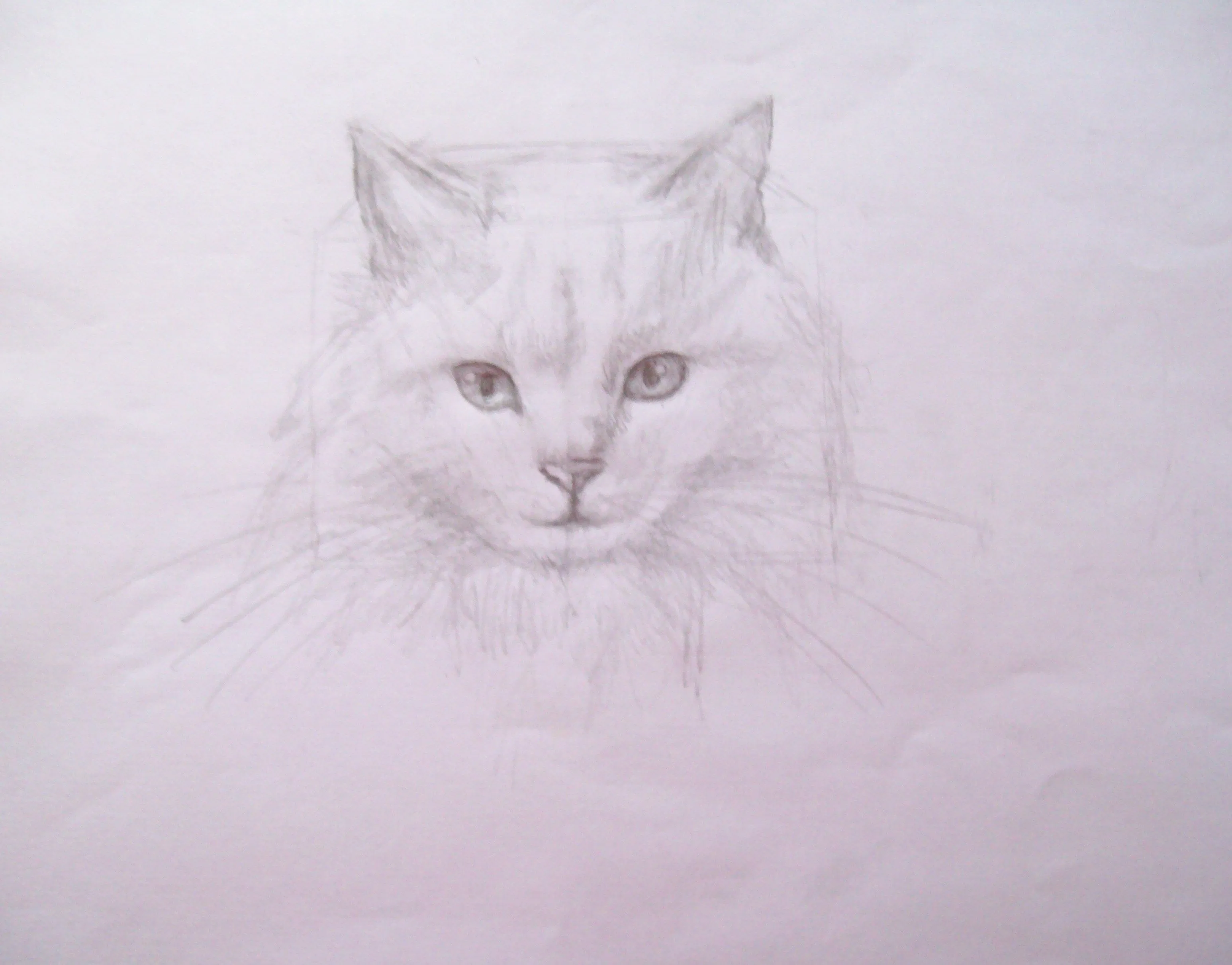 Dibujos de gatos reales - Imagui