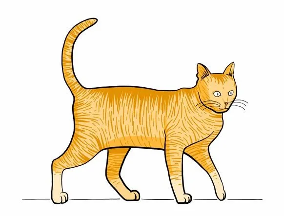 Un dibujo de un gato con color - Imagui