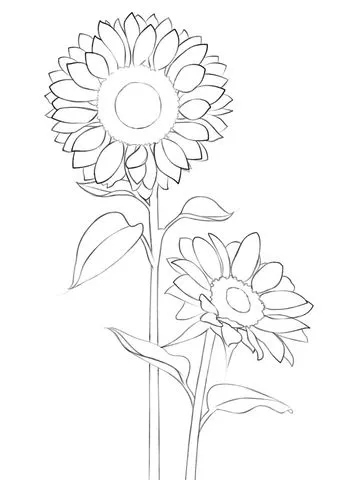 Dibujo de Girasol para colorear | Dibujos para colorear imprimir ...