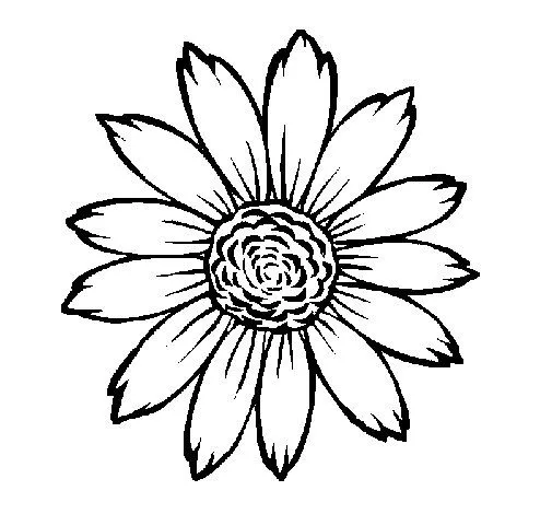 Dibujo de Girasol para Colorear - Dibujos.net