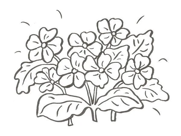 Dibujo gratis para colorear en Conmishijos.com (Página 6)