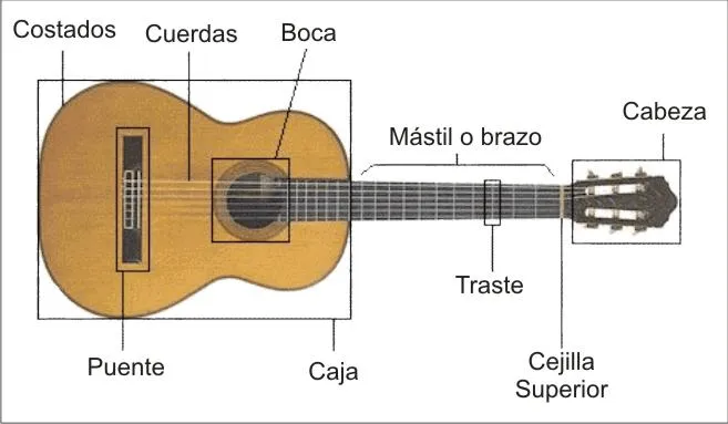 15 minutos de guitarra al dia: Peque Lecciones: Partes de la Guitarra