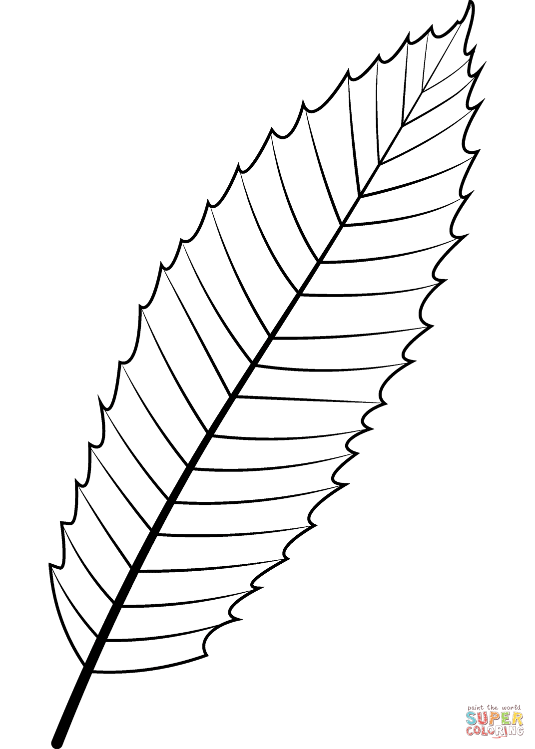 Dibujo de hoja de castaño europeo para colorear | Dibujos para colorear  imprimir gratis