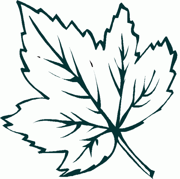 Dibujo de una hoja de otoño para imprimir y colorear | Hojas de otoño,  Páginas para colorear, Hojas de uva