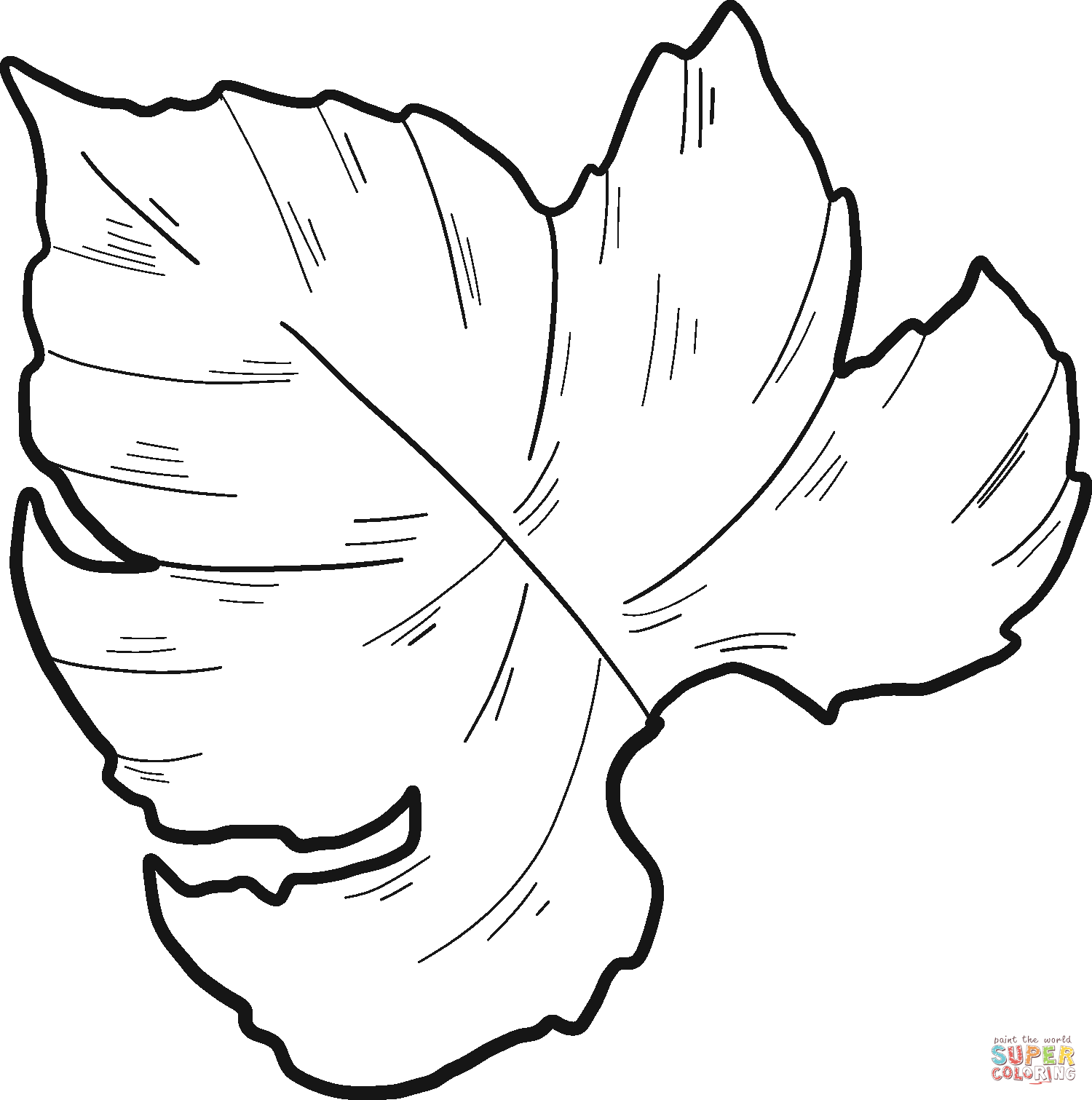 Dibujo de hoja de uva para colorear | Dibujos para colorear imprimir gratis