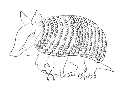 Dibujo de Ilustración, Armadillo para colorear | Dibujos para ...